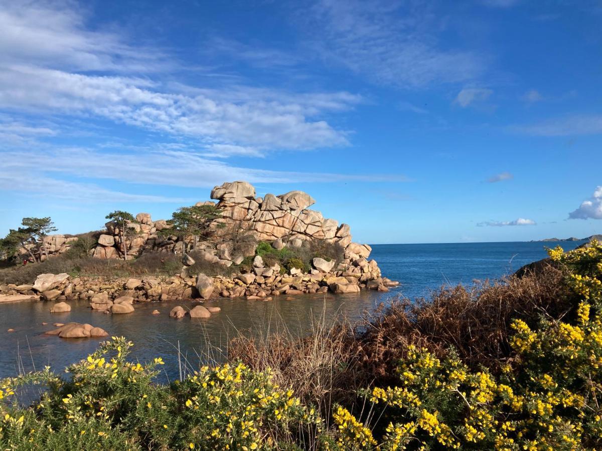 Les Hortensias A 50 M De La Plage De Trestraou Perros-Guirec Eksteriør billede